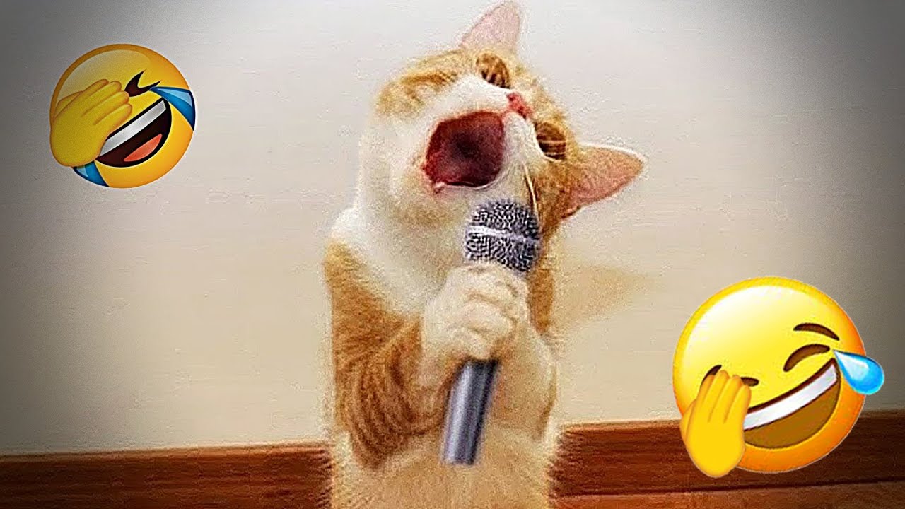 You Laugh You Lose 😹🐶 Funniest Cats and Dogs 2026 🍬 Part #02