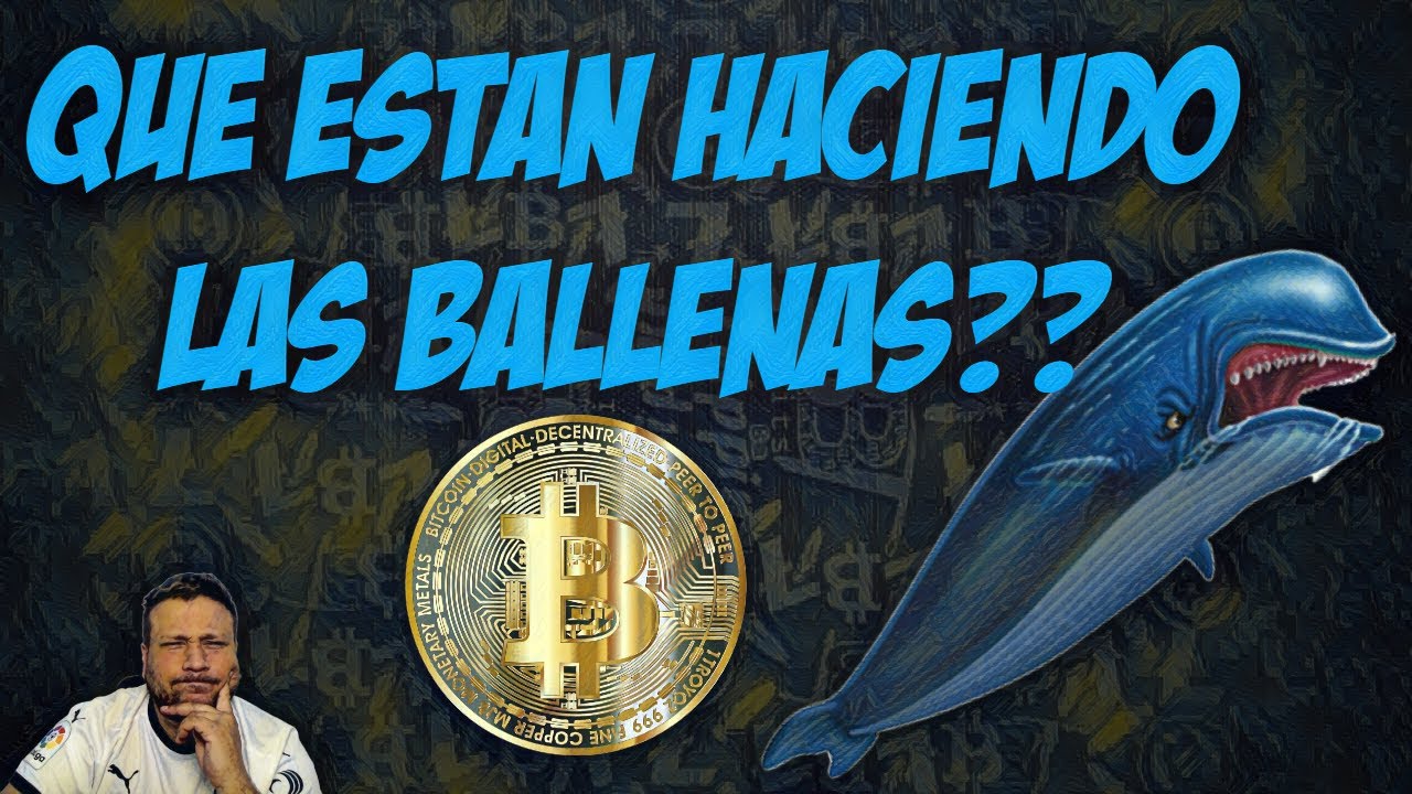 ✅Estan COMPRANDO las ballenas BITCOIN  ❓❓❗️❗️💥💥