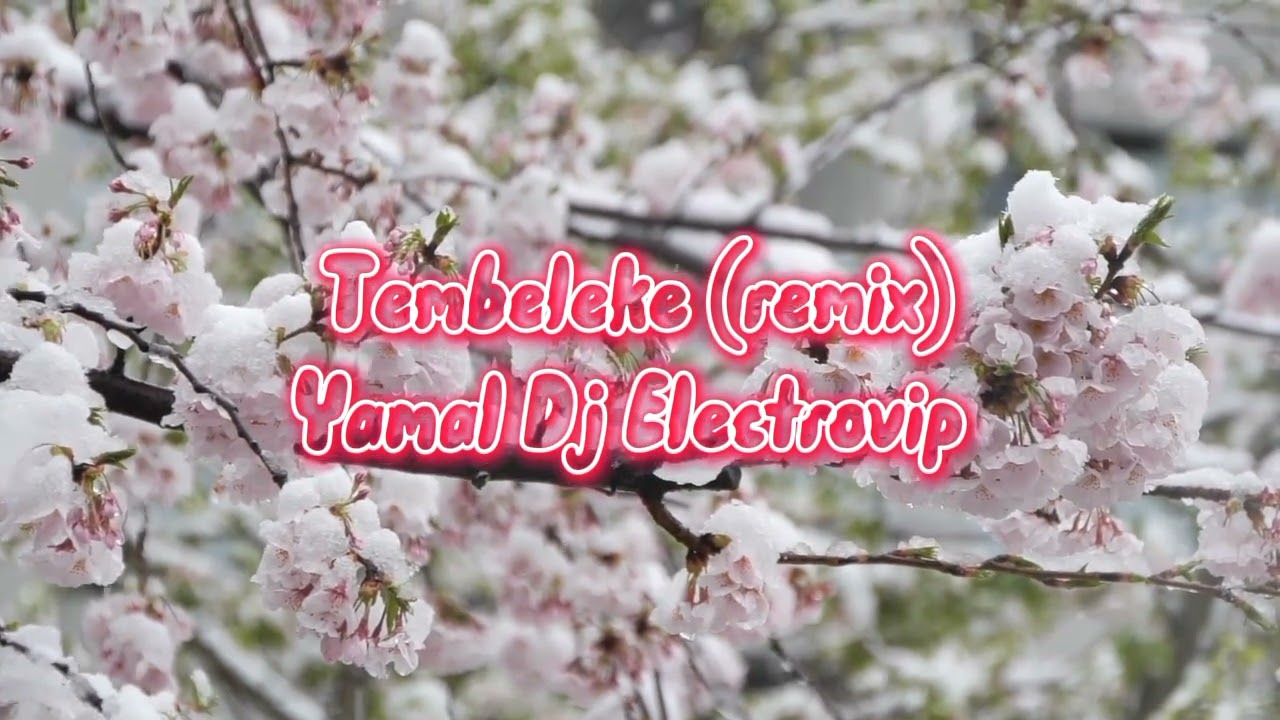 Tembeleke (remix)-Yamal Dj Electrovip