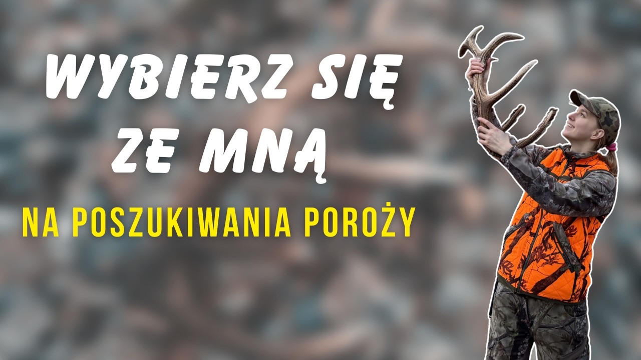 Jak znaleźć poroże w lesie? Właśnie znalazłam poroże jelenia!