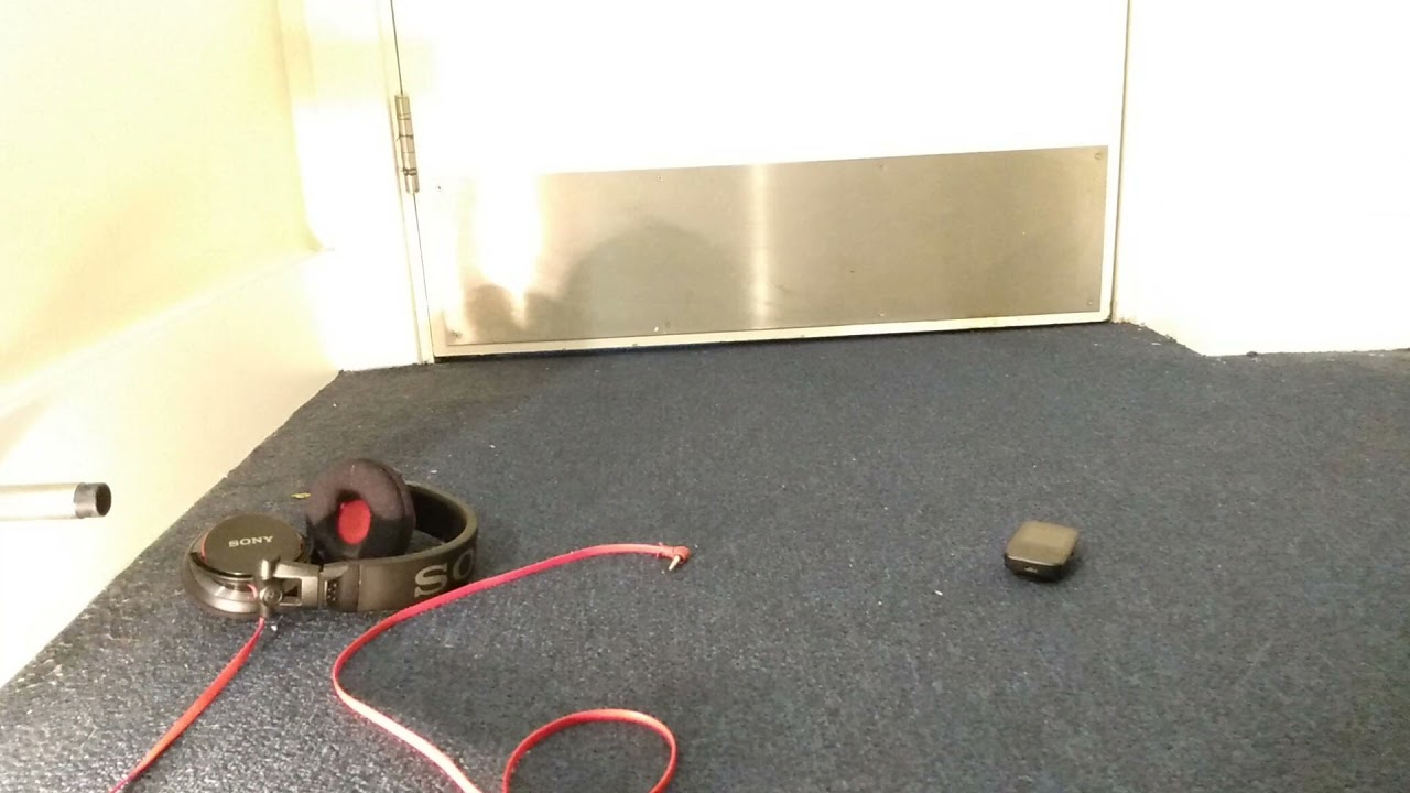 Snake attack