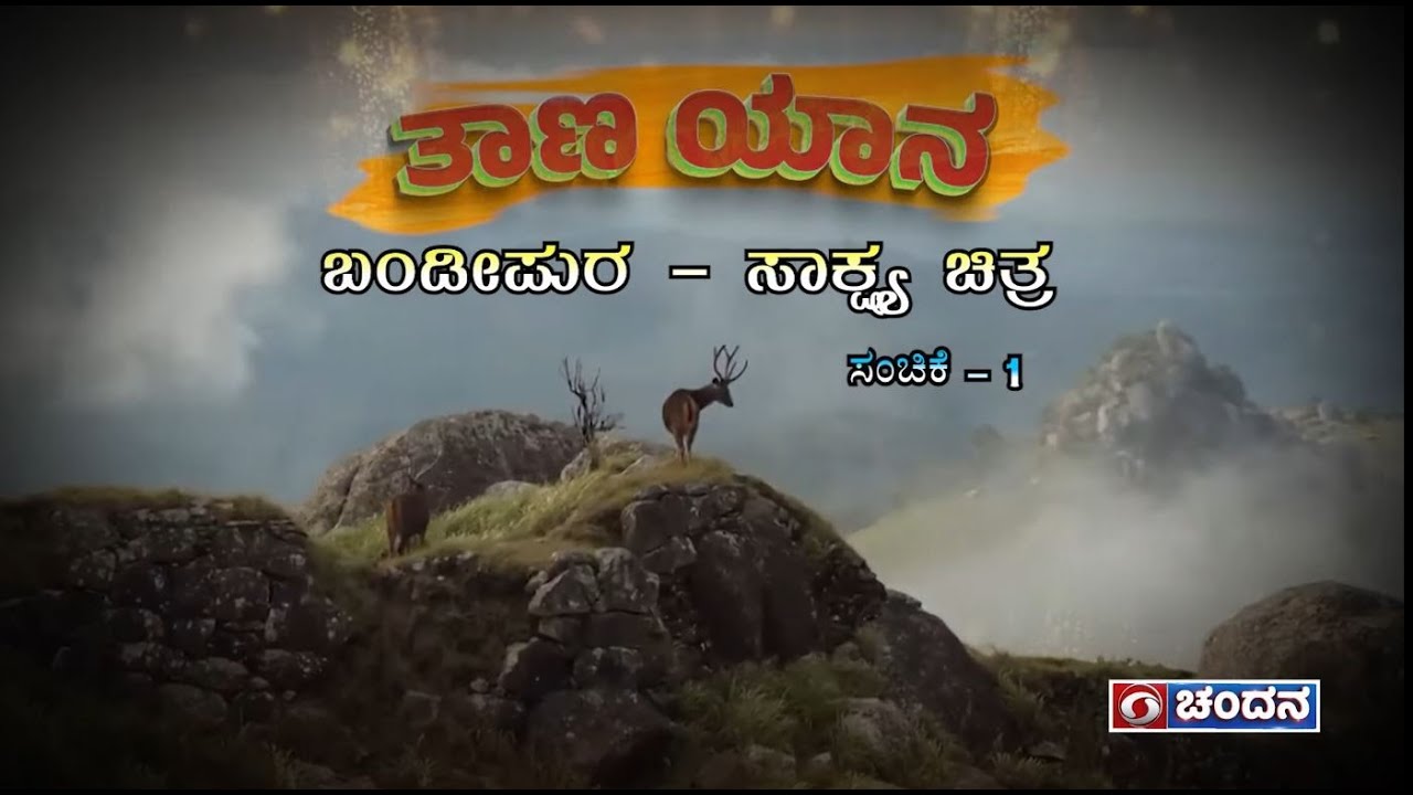 Taana Yana | ತಾಣ ಯಾನ | Bandipur - Documentary | Ep.01 | DD Chandana