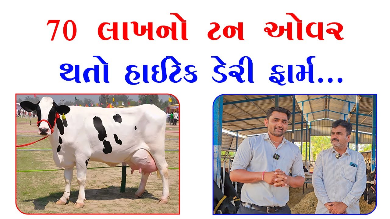 70 લાખ નો ટન ઓવર થતો હાઈટેક ડેરી ફાર્મ..  || 70 Lakh No Turn Over Thato Hightek Dairy Farm...||
