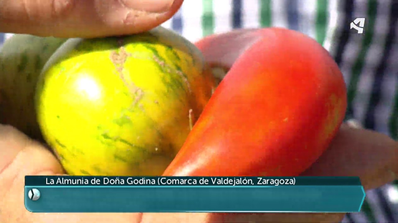 más de 200 tipos de tomate