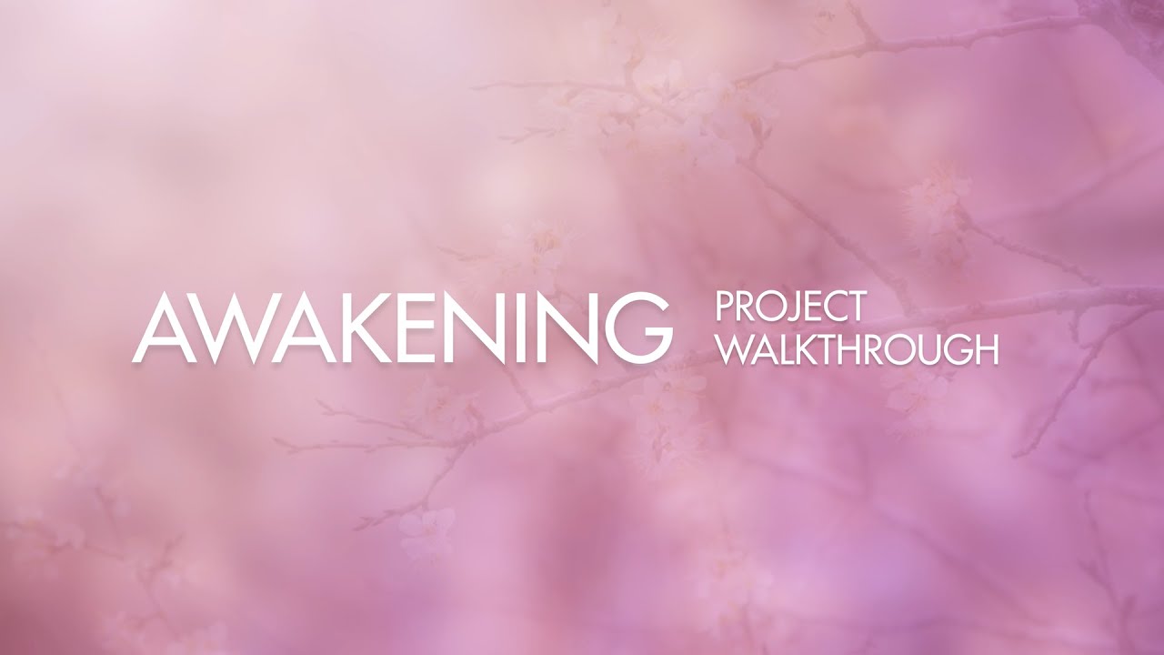 Awakening - Project Walkthrough