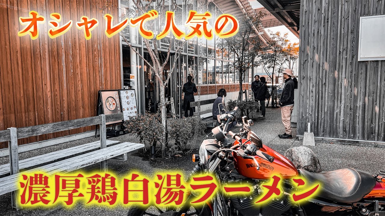 【徳島ラーメンツーリング】激ウマ‼️鶏×タイの極上白湯ラーメンを堪能【ハーレー】