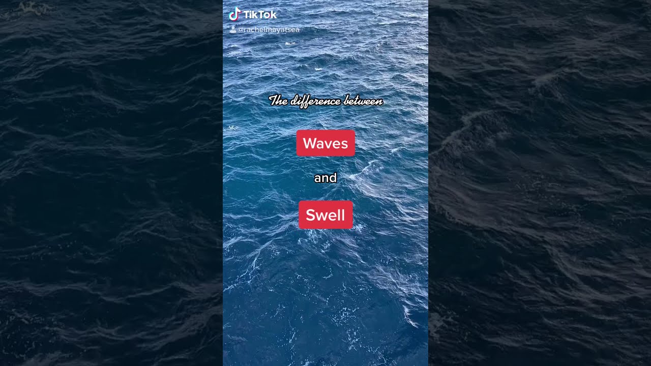 Life at Sea - Difference between Waves and Swell