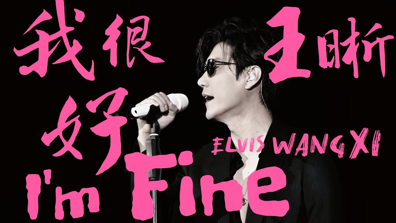Elvis WANG XI - I'm Fine | 王晰-我很好 | 杭州 20241221 | 王晰吾个人巡回音乐会杭州站