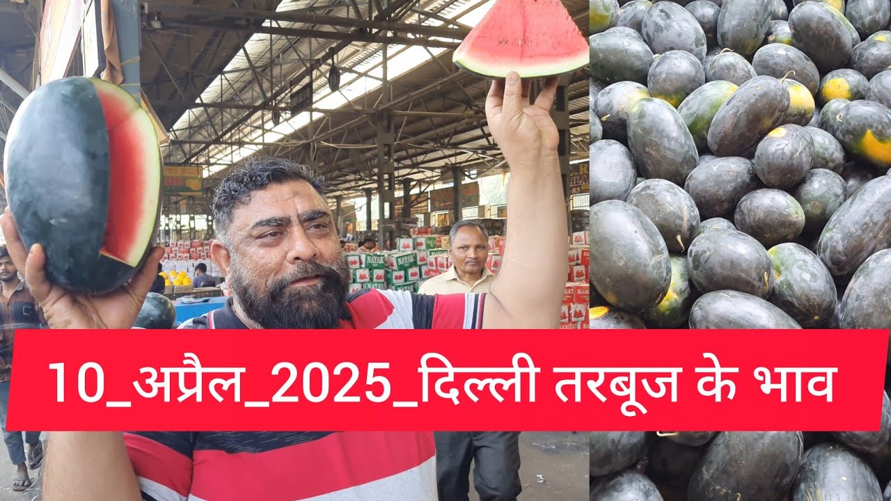 April 10, 2025 दिल्ली #तरबूज के भाव Delhi #watermelon market price muskmelon delhi fruit market