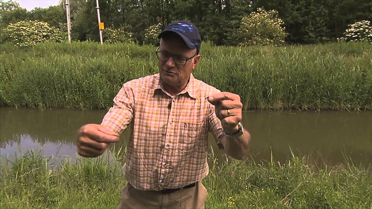 Vissen doe je zo - Karper met de pen - Dit heb je nodig