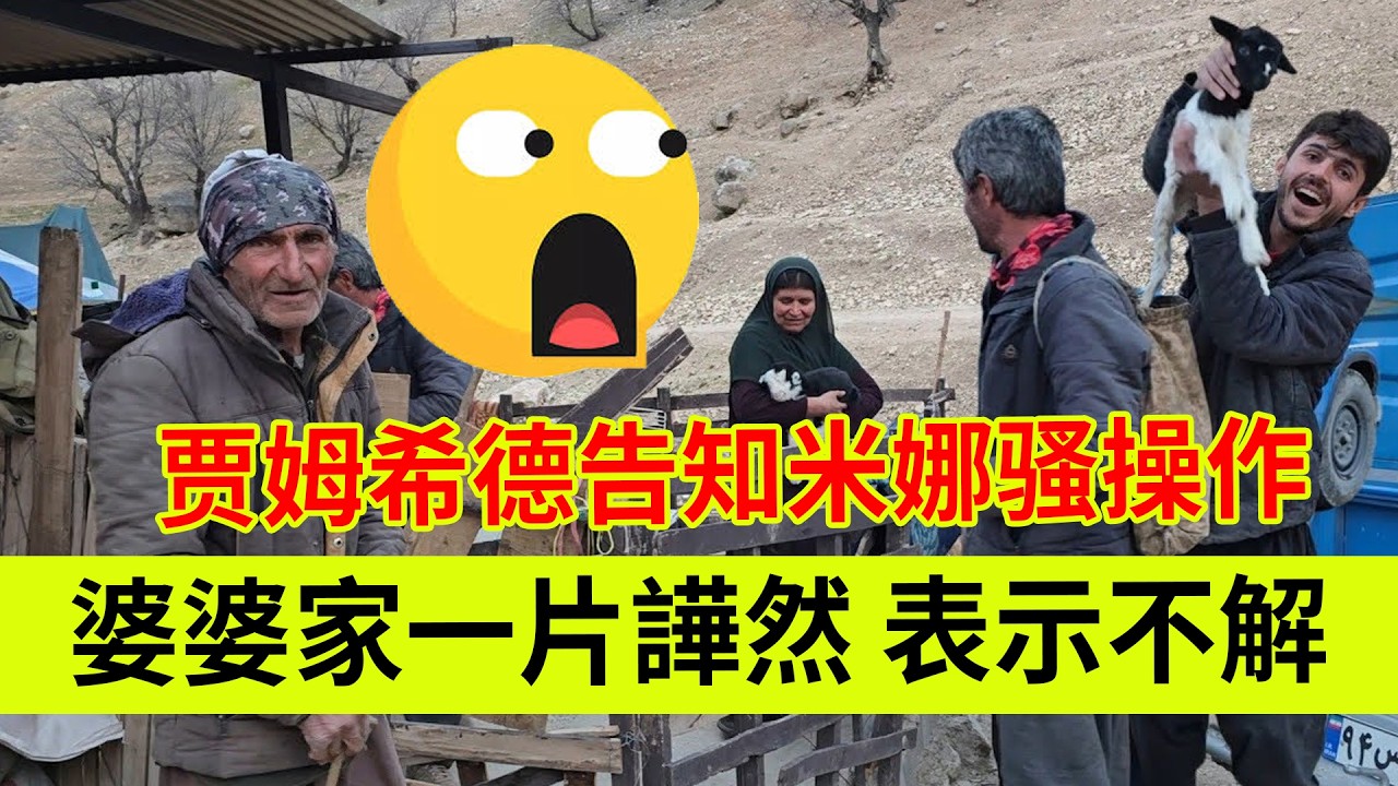 贾姆希德告知米娜一系列操作，婆婆家一片哗然表示不解。伊朗女人米娜纪录片最新后续