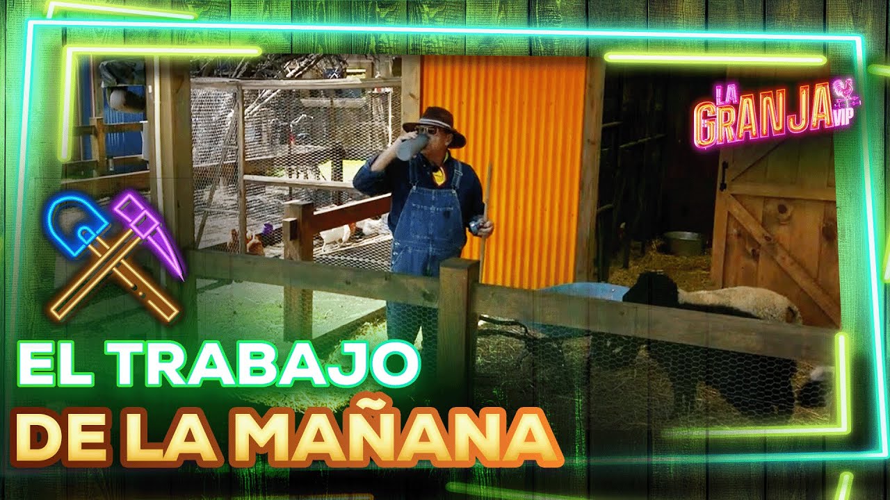¡Nadie descansa! Así se vivió la jornada mañanera en La Granja VIP