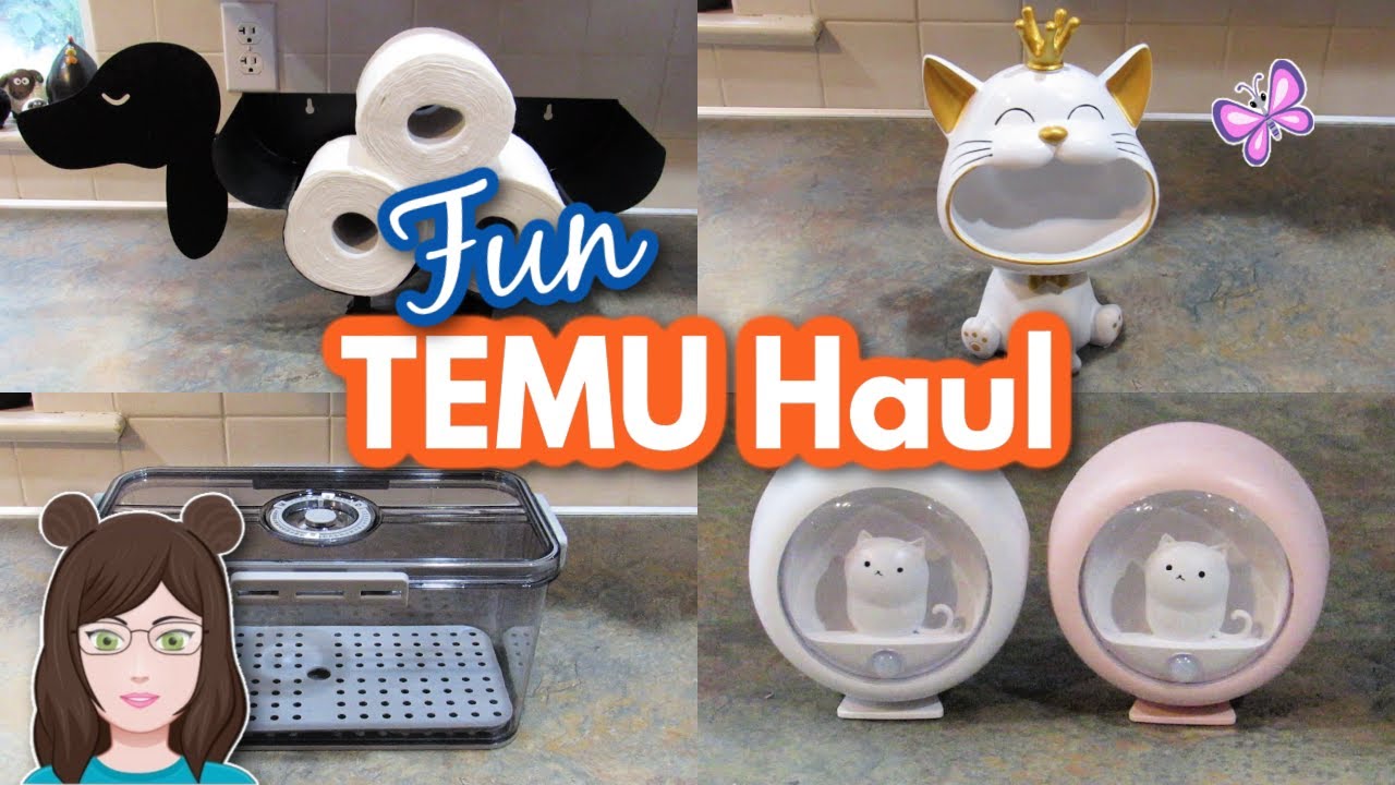 Fun TEMU Haul! Cool New Finds! June 2024