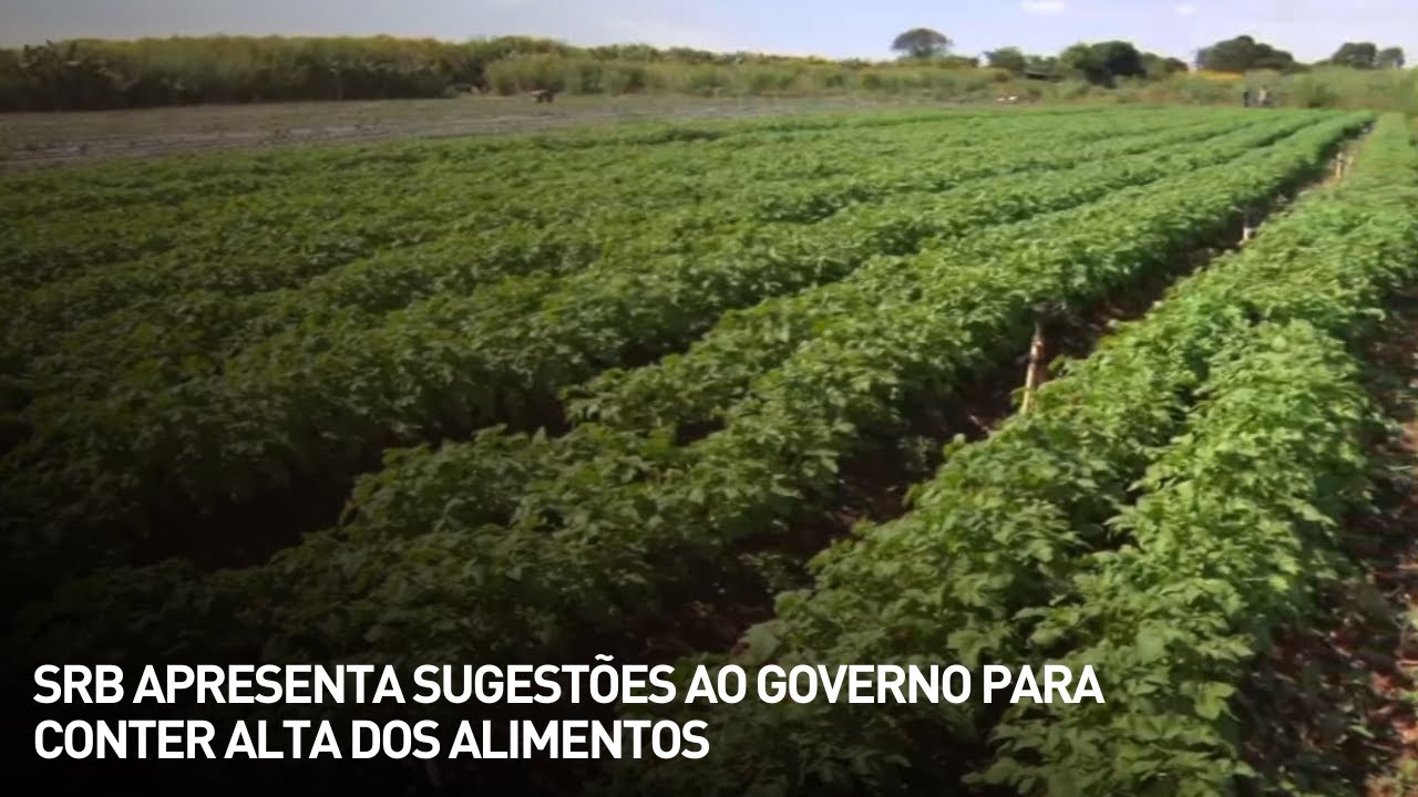SRB apresenta sugestões ao governo para conter alta dos alimentos