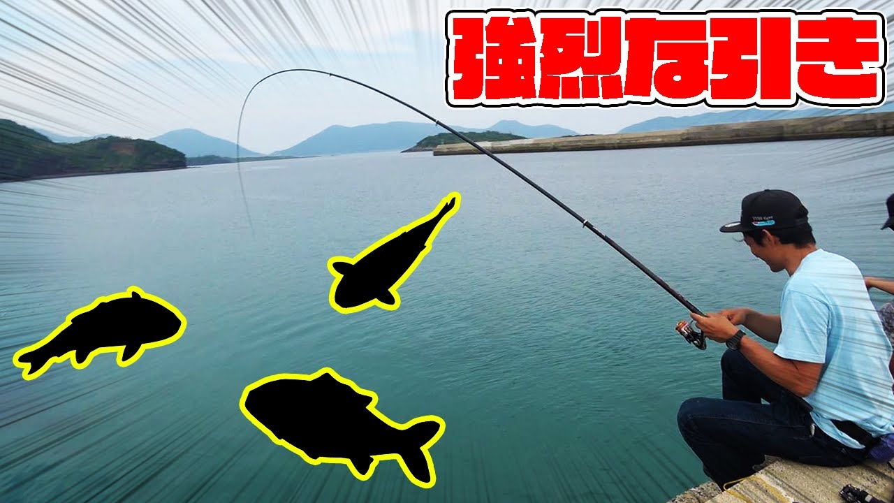 磯で釣れる魚が堤防沿いのエサに群がる！！