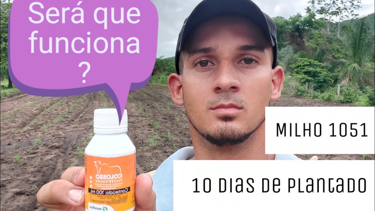 Combatendo largata do cartucho no milho 1051 passei colosso veja o resultado
