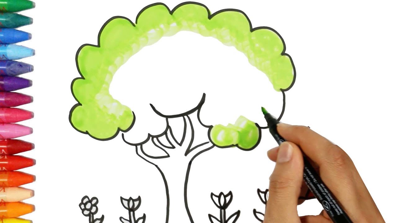 Jak narysować drzewo🌳| Kolorowanki dla Dzieci Dowiedz kolorów | Rysowanie i Kolorowanie dla Dzieci