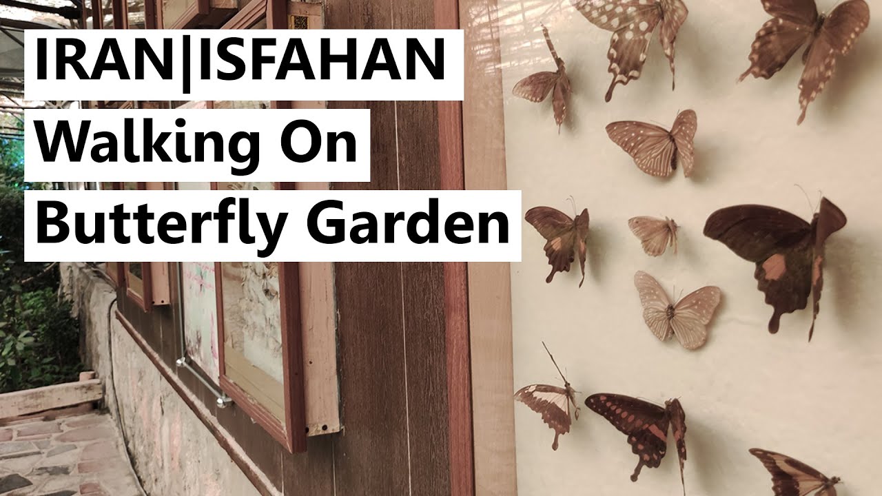 Walking On Isfahan | Walking On Butterfly Garden in Isfahan