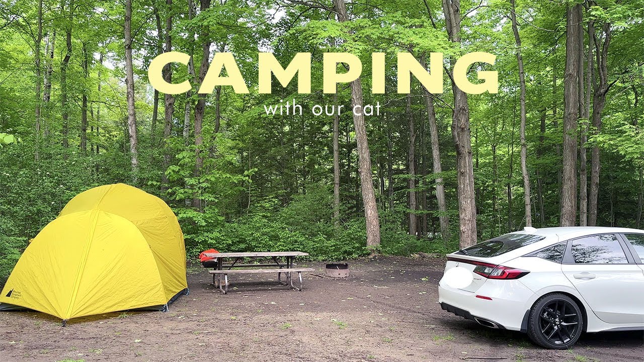 camping with our cat, cooking asmr | toronto