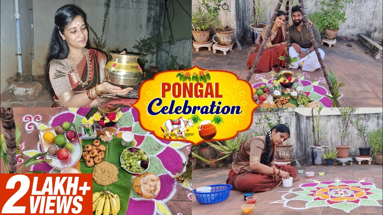 Pongal Celebration | தமிழர் திருநாள் | Festival Vlog | Lakshya Vlogs | Lakshya Junction