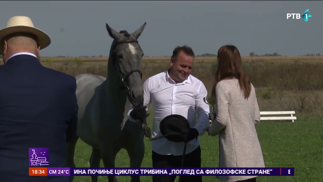 Održan Dan lipicanera u Staparu