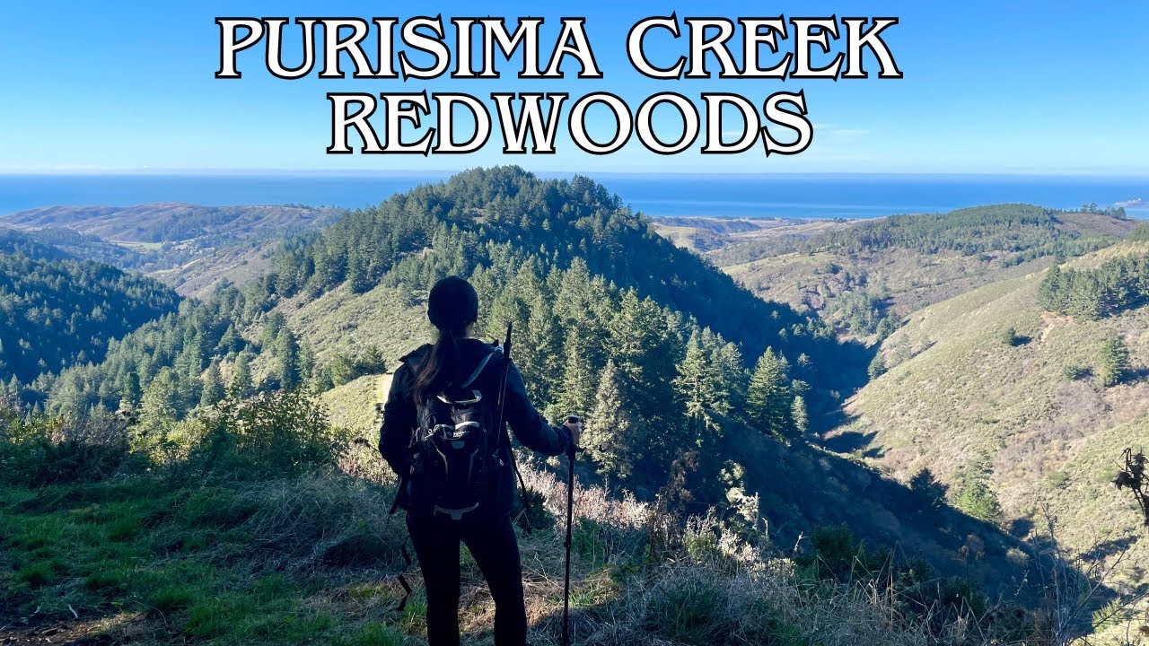 Purisima Creek Redwoods North Ridge Trail