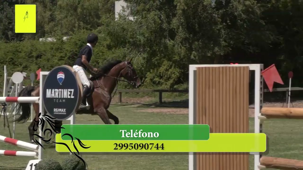Equitación Sur programa 367 bloque 1