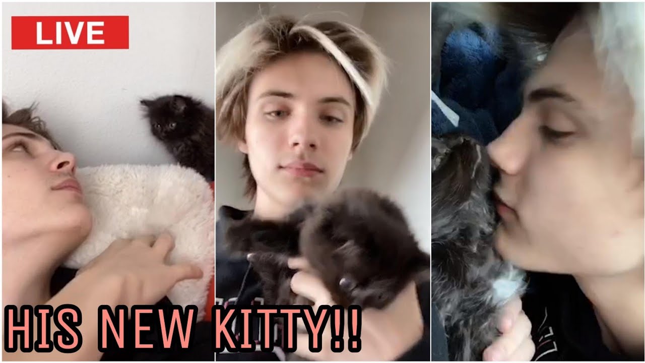Noen Eubanks Live 25/05/20 talks about why he wants to quit tiktok and his new kitty🥰🥰