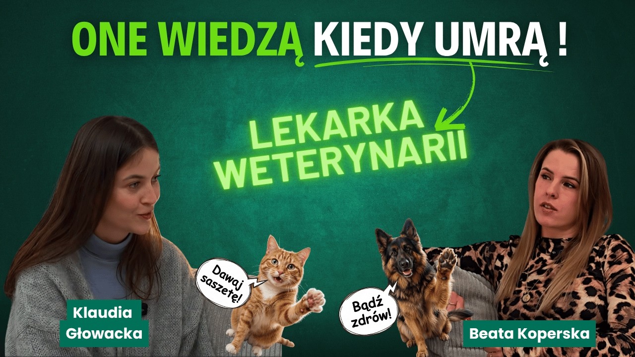 #14 Potrafię zhakować zwierzę na dwa sposoby -  przez ciało i przez energię I lek.wet. K. Głowacka