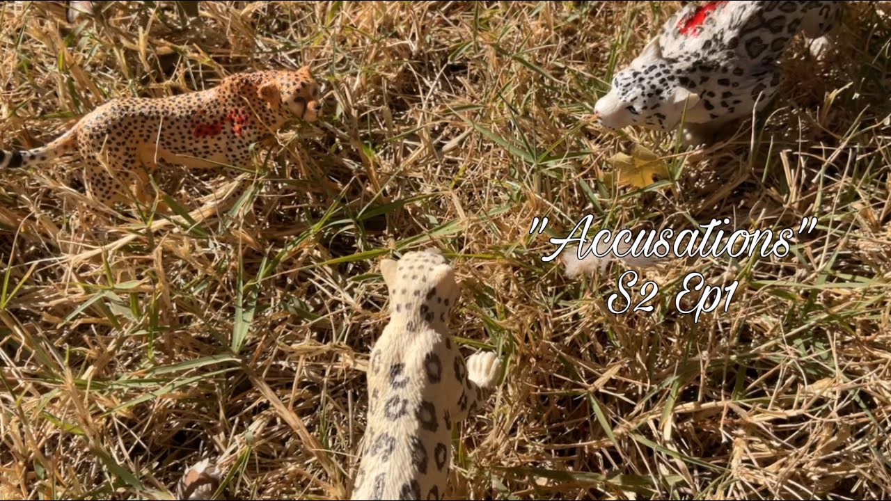 ВМЕСТЕ | С2 Эпизод 1 | Оригинальный сериал Schleich Big Cat