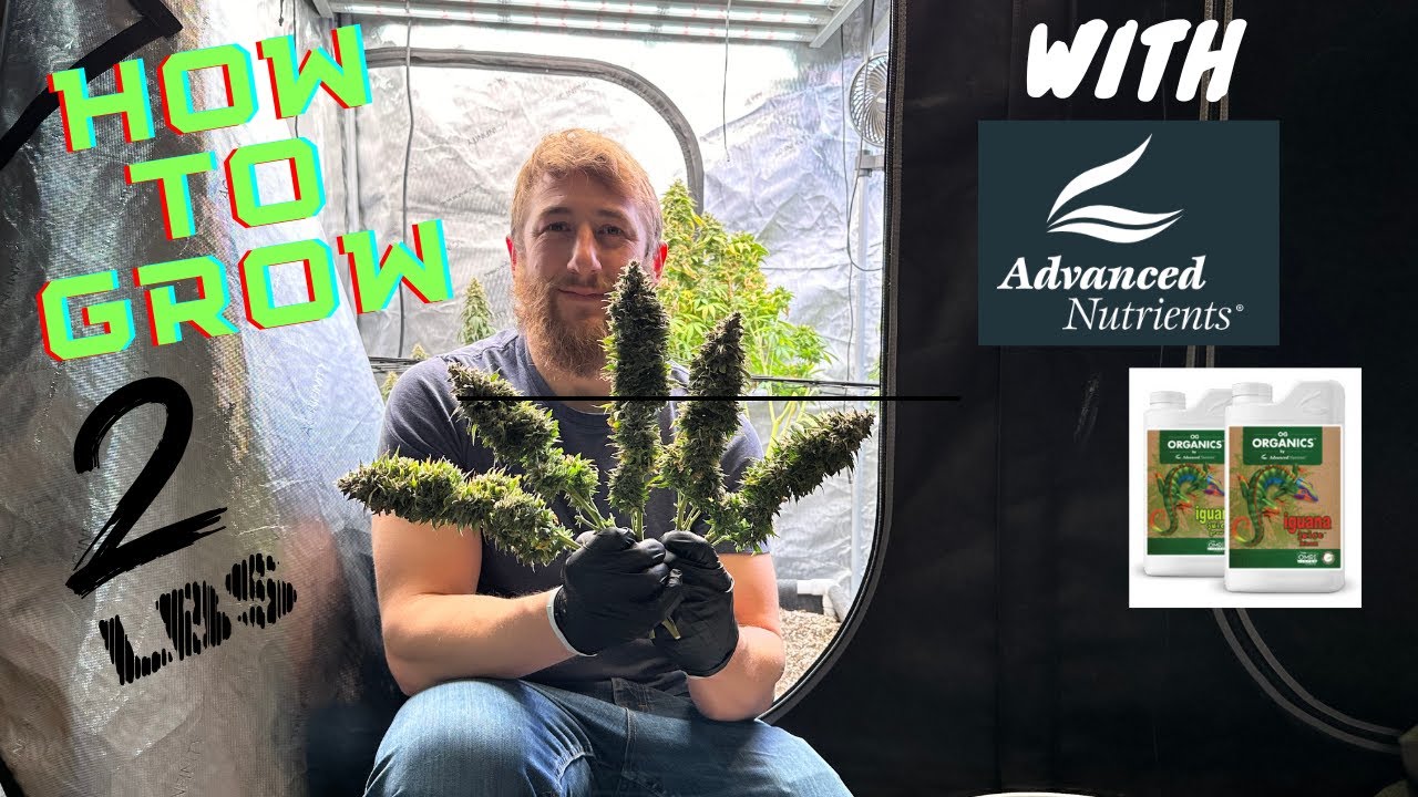 Seed to Harvest w/ Advanced Nutrients OG organic run