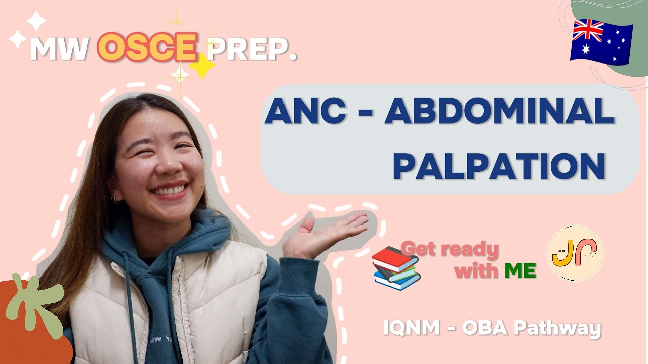 Midwifery OSCE prep - ANC Abdominal palpation and documentation