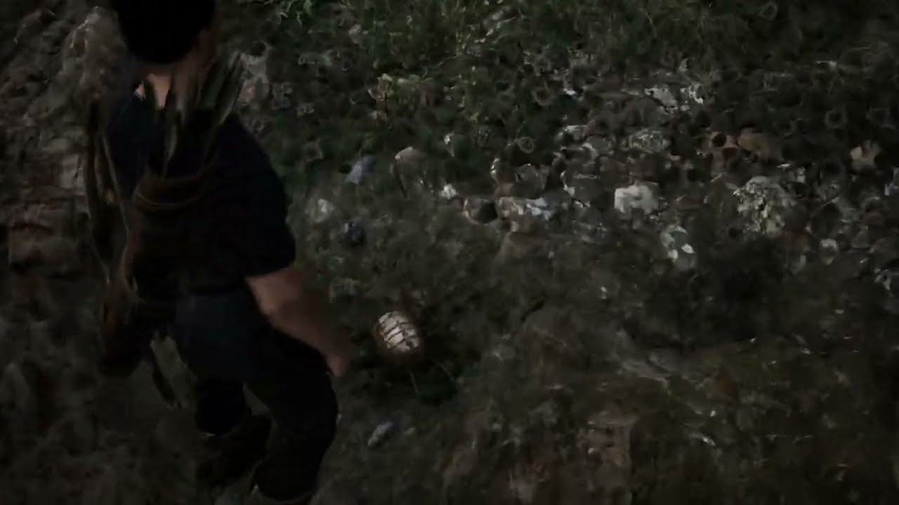 Gothic 1 Remake - killing Meatbug