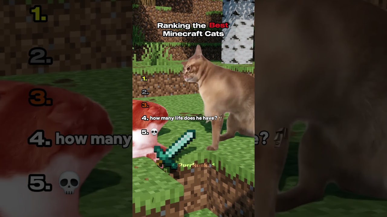 Ranking the Best Minecraft Cats 😸 | Part 4 #shorts