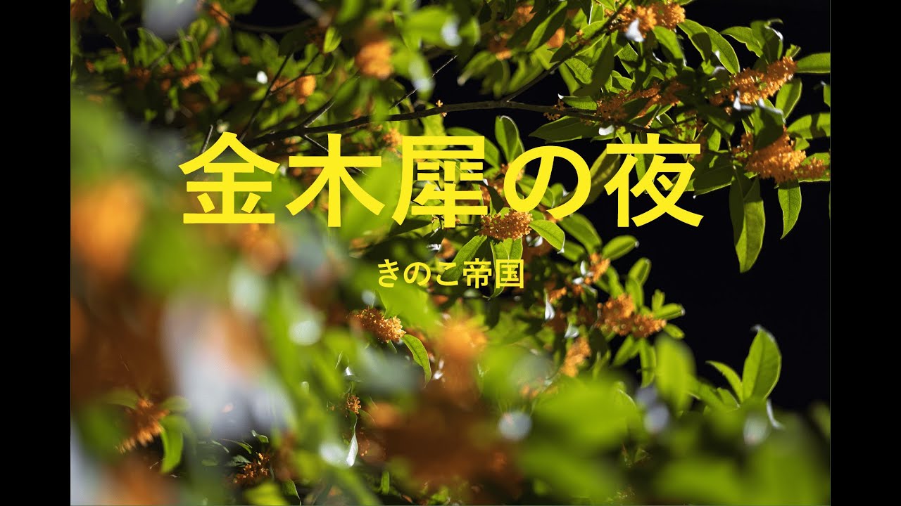 金木犀の夜【カラオケ】【ガイドメロディなし】
