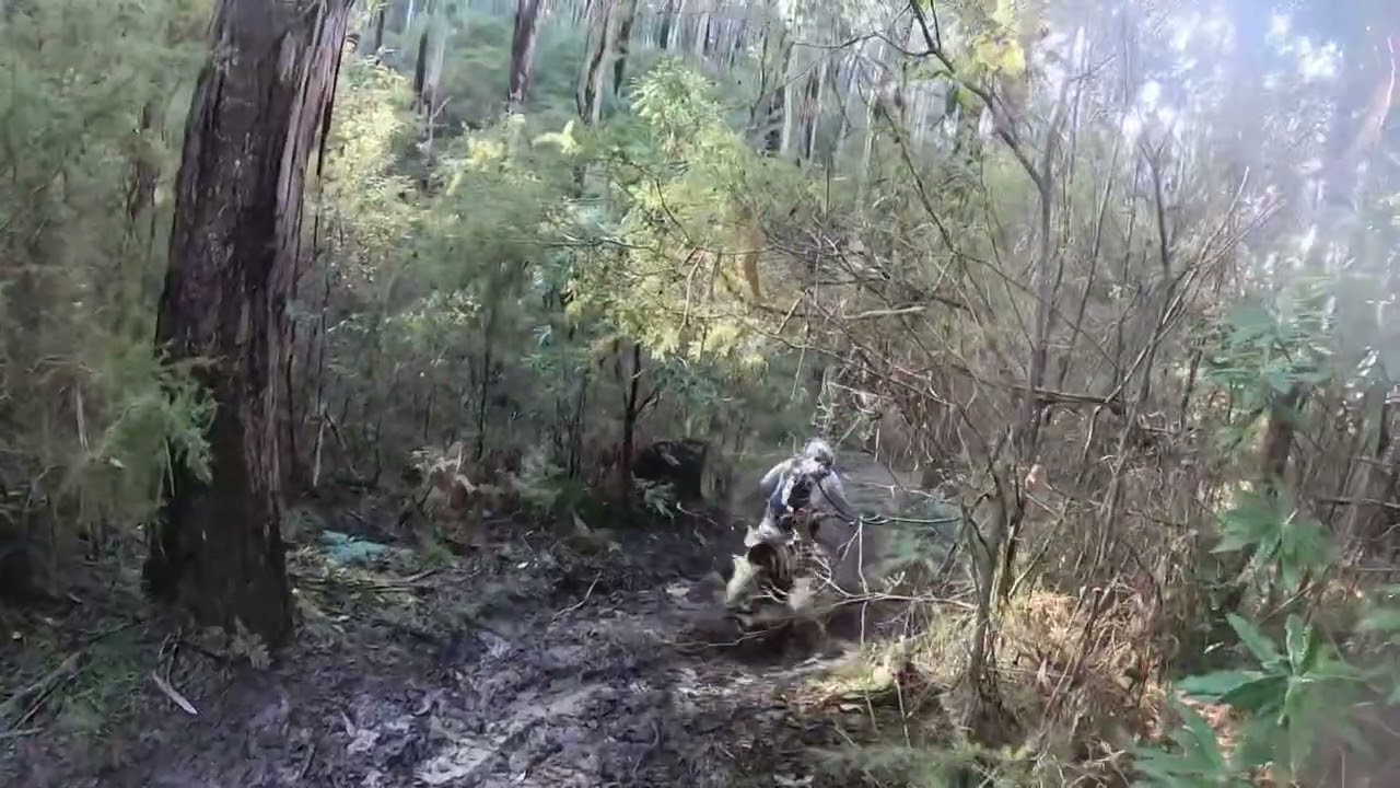 2024 BETA 390 Race Edition (wet)Trail Test