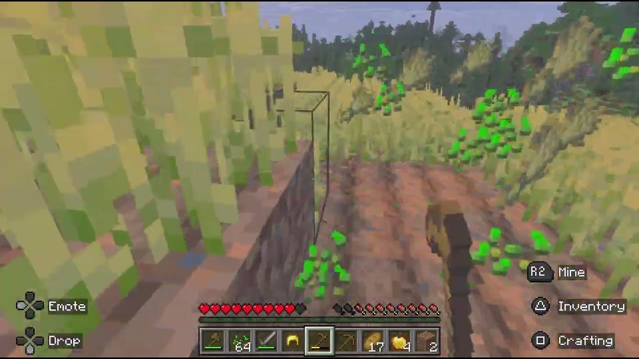 Minecraft_20260209191130