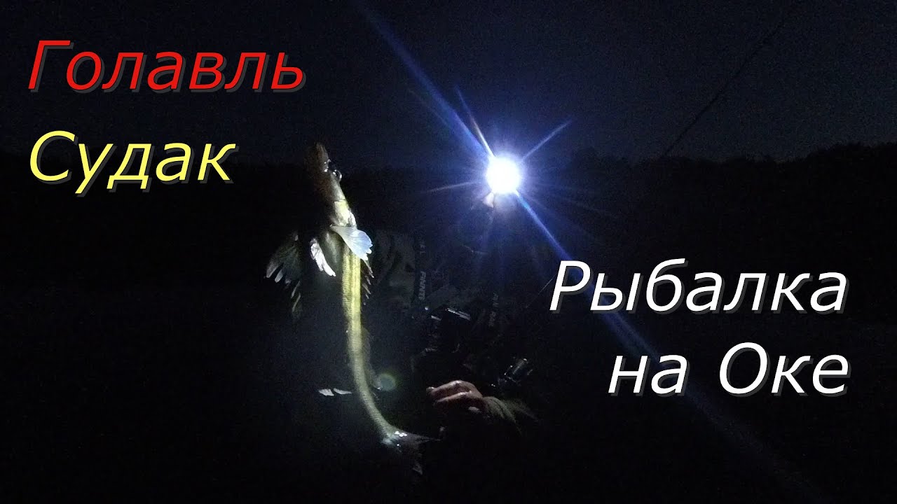 Судак на вечерней зорьке. Рыбалка на перекатах Оки в июне.