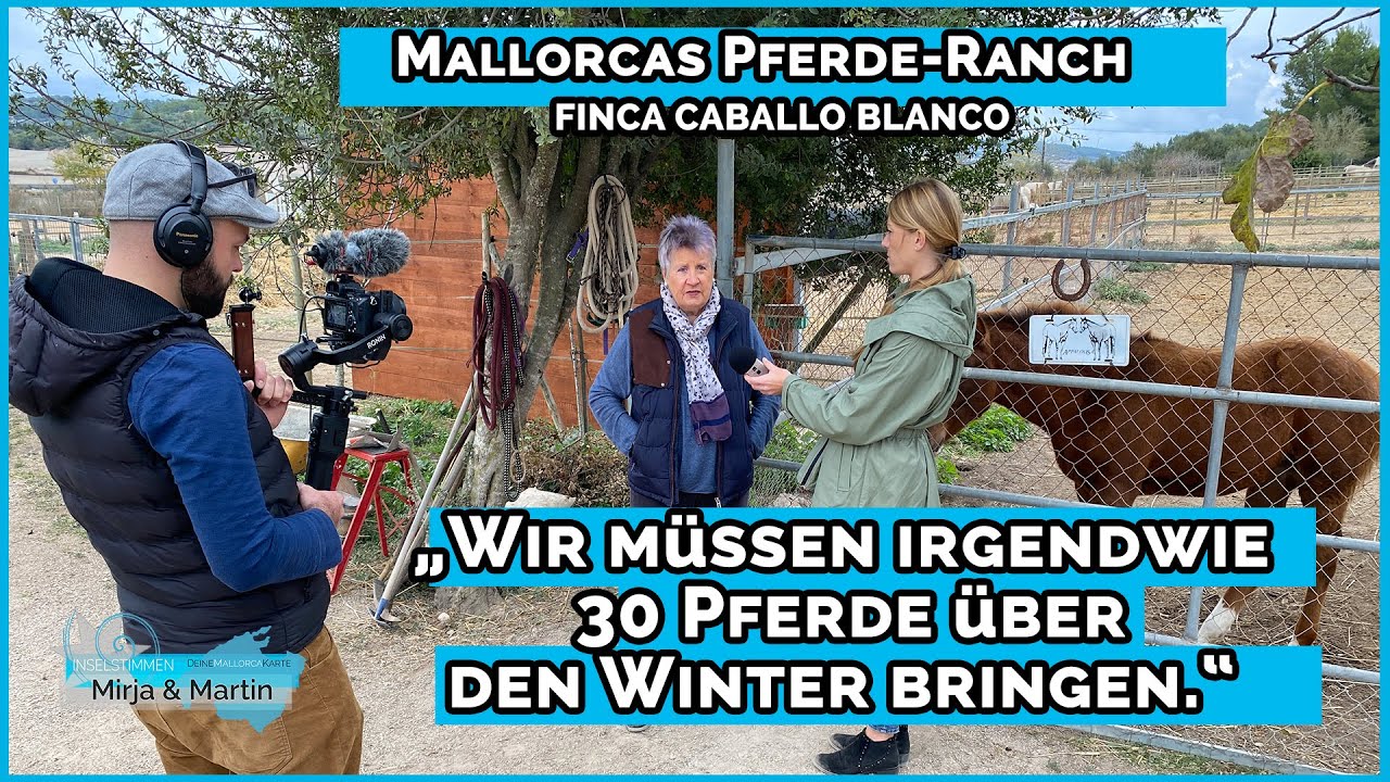 Mallorca Auswanderer |🐎 Die Pferde-Ranch Caballo Blanco