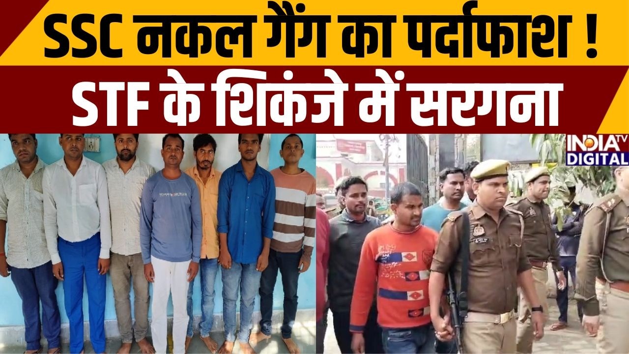 UP STF News: UP STF का बड़ा एक्शन, SSC सॉल्वर गैंग का सरगना गिरफ्तार |  Solver Gang | SSC Exam Scam