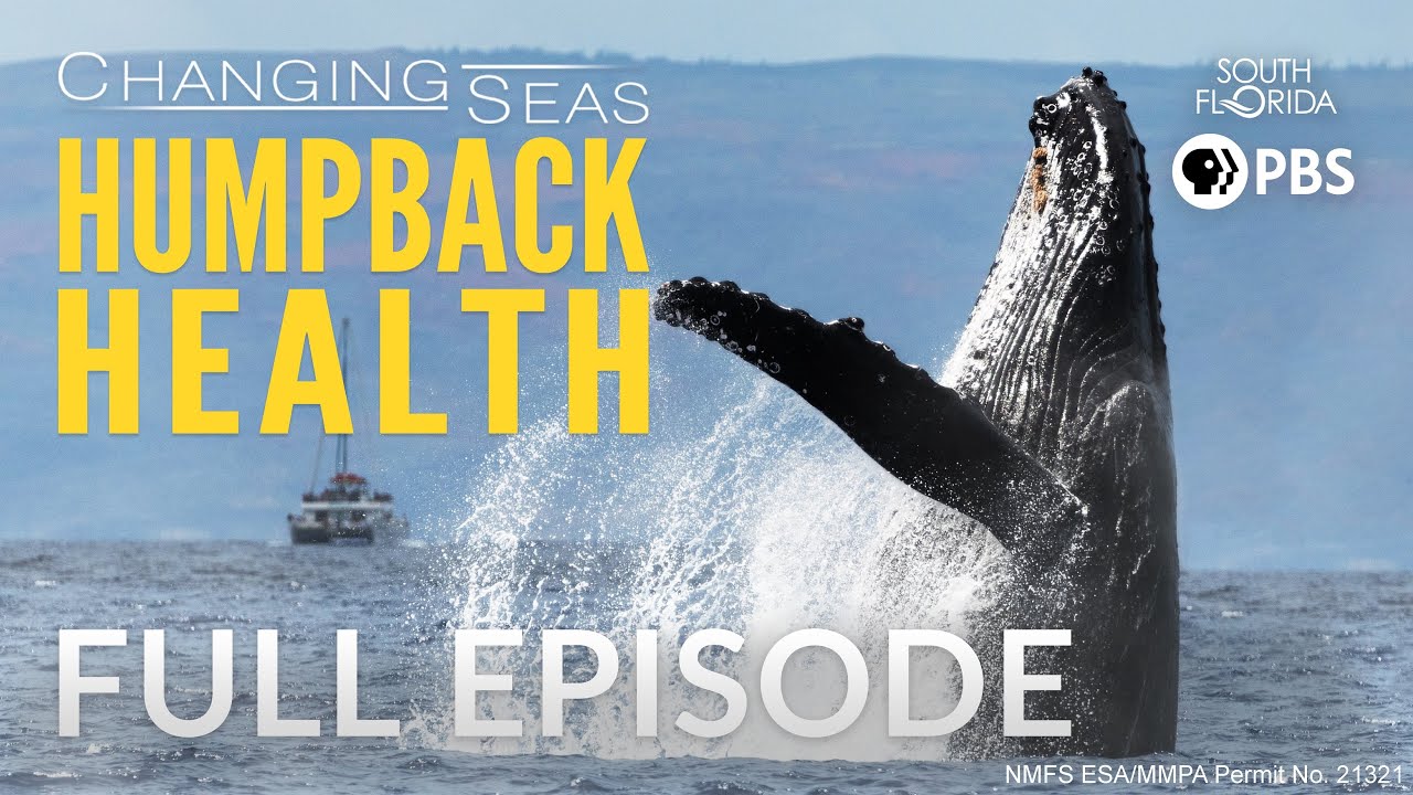 Humpback Health - Full Episode