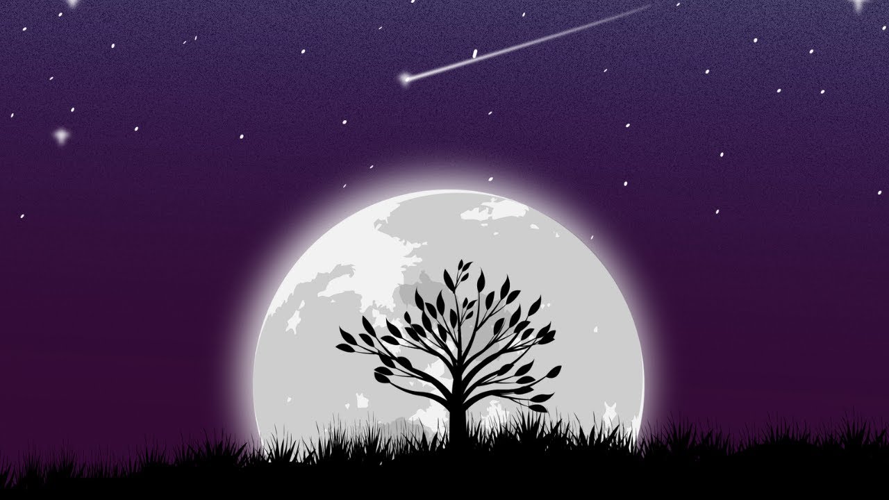 Night Sky Landscape Vector illustration | Speed artwork