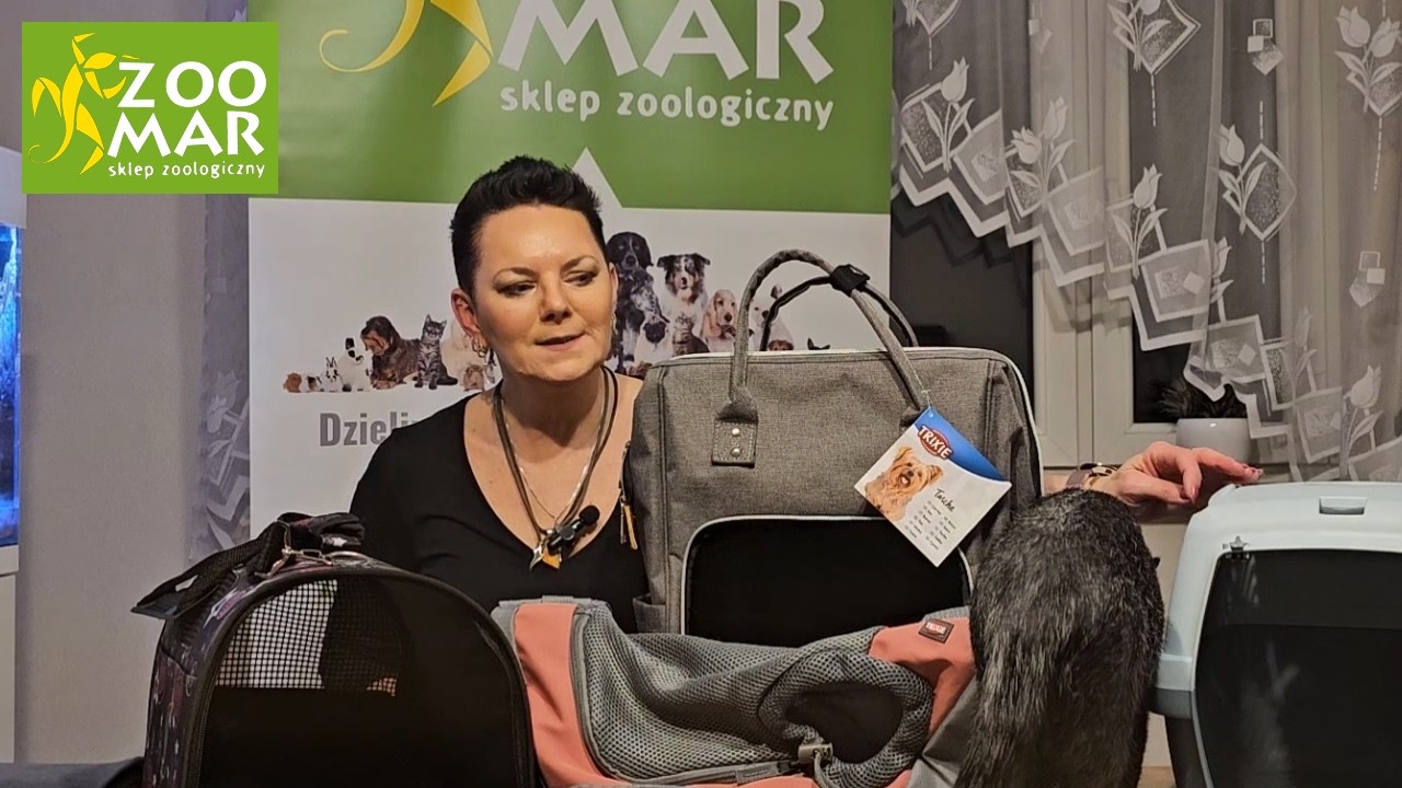 Transporter jako niezbędne wyposażenie wyprawki pupila