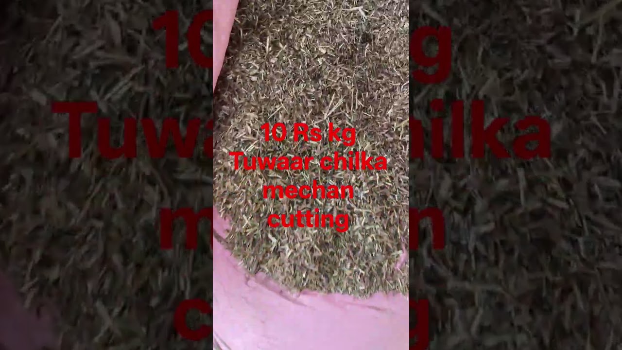 #9700863205 10 Rs kg tuwaar chilka mechan cutting available zubair goat farm