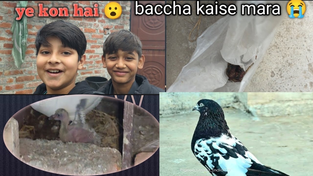 Yah Kaun a Gaya chhat per 😮