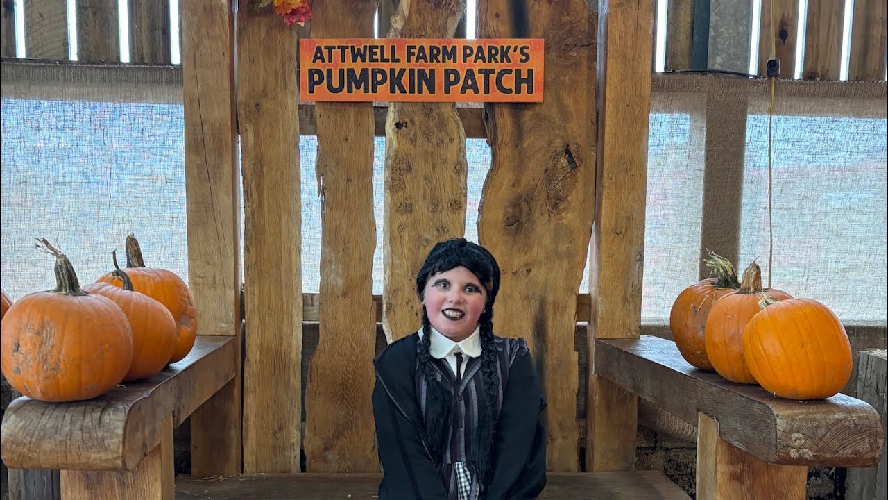 Halloween fun at Attwell farm park @attwellfarmpark 