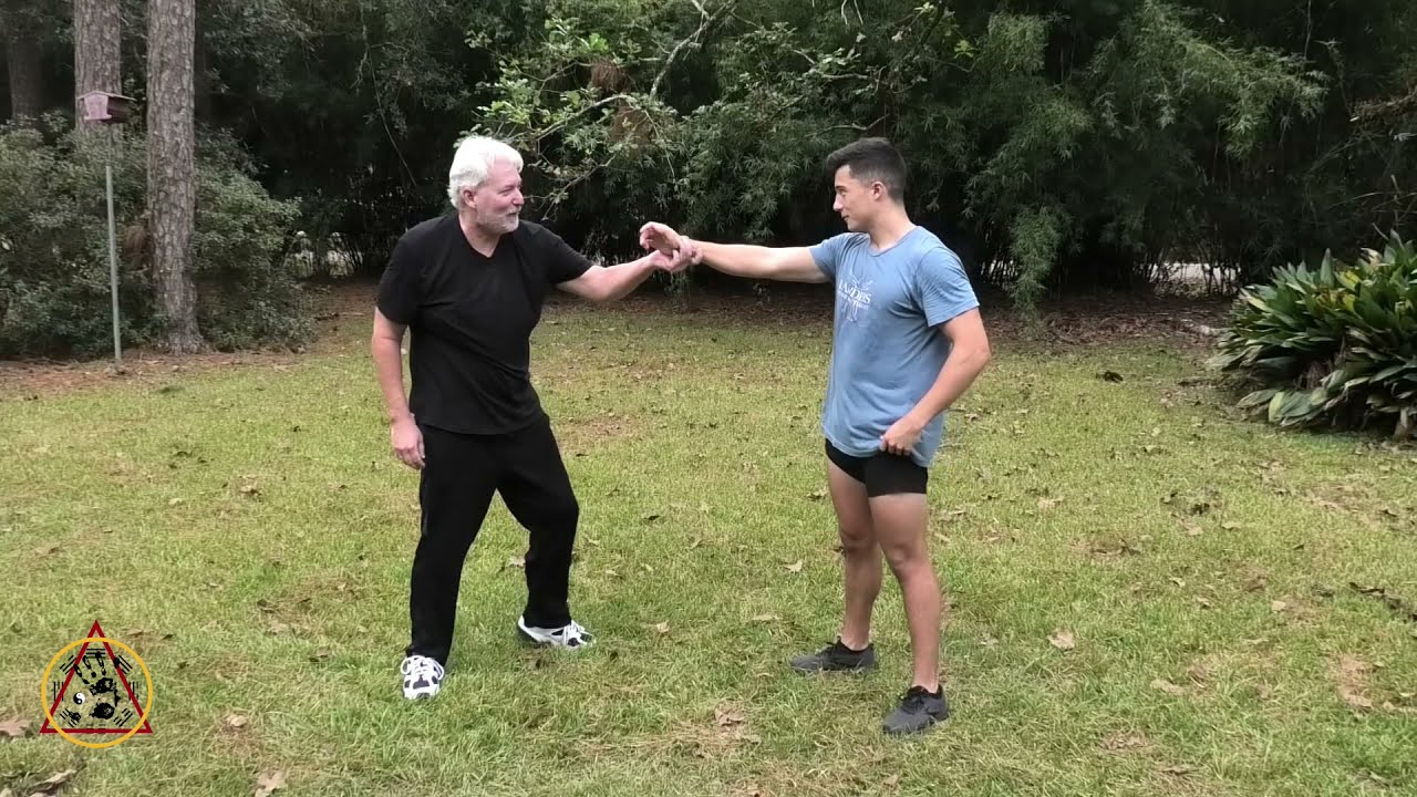 Class on Next Level Basic Striking Palm and Application in Bagua Kuntao Silat Part 2