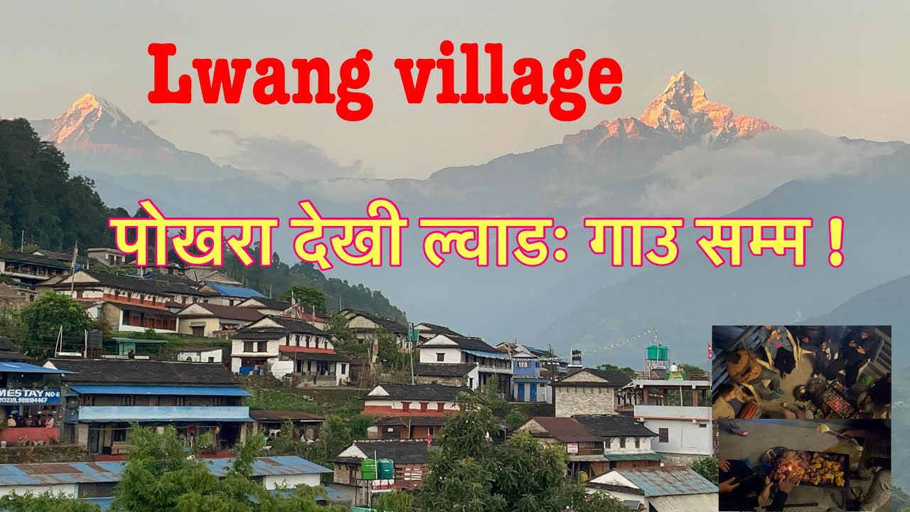 Lwang village । ल्वाडः गाऊको चिया बगैचा ।Best homestay in Pokhara | Pokhara to lwang village 