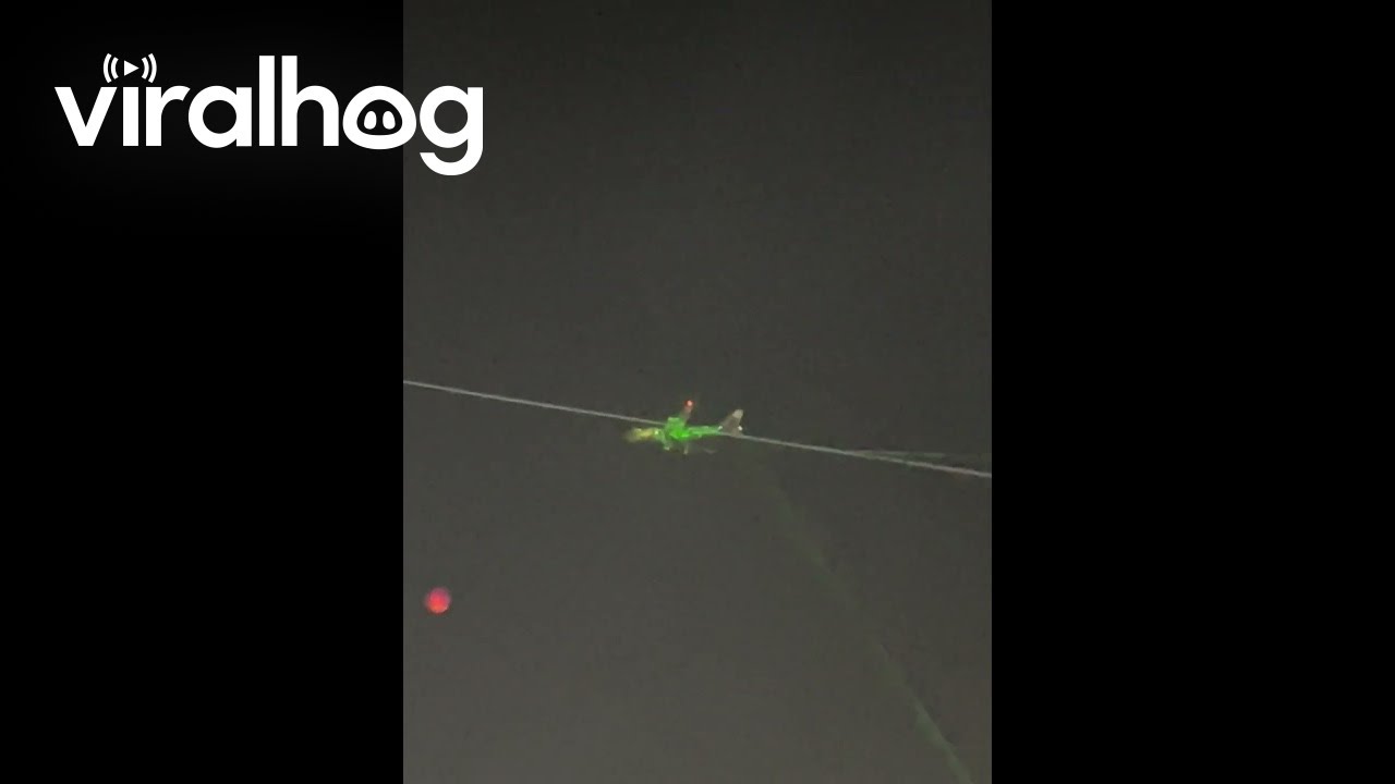 Everyone Points Lasers at Plane Passing By || ViralHog