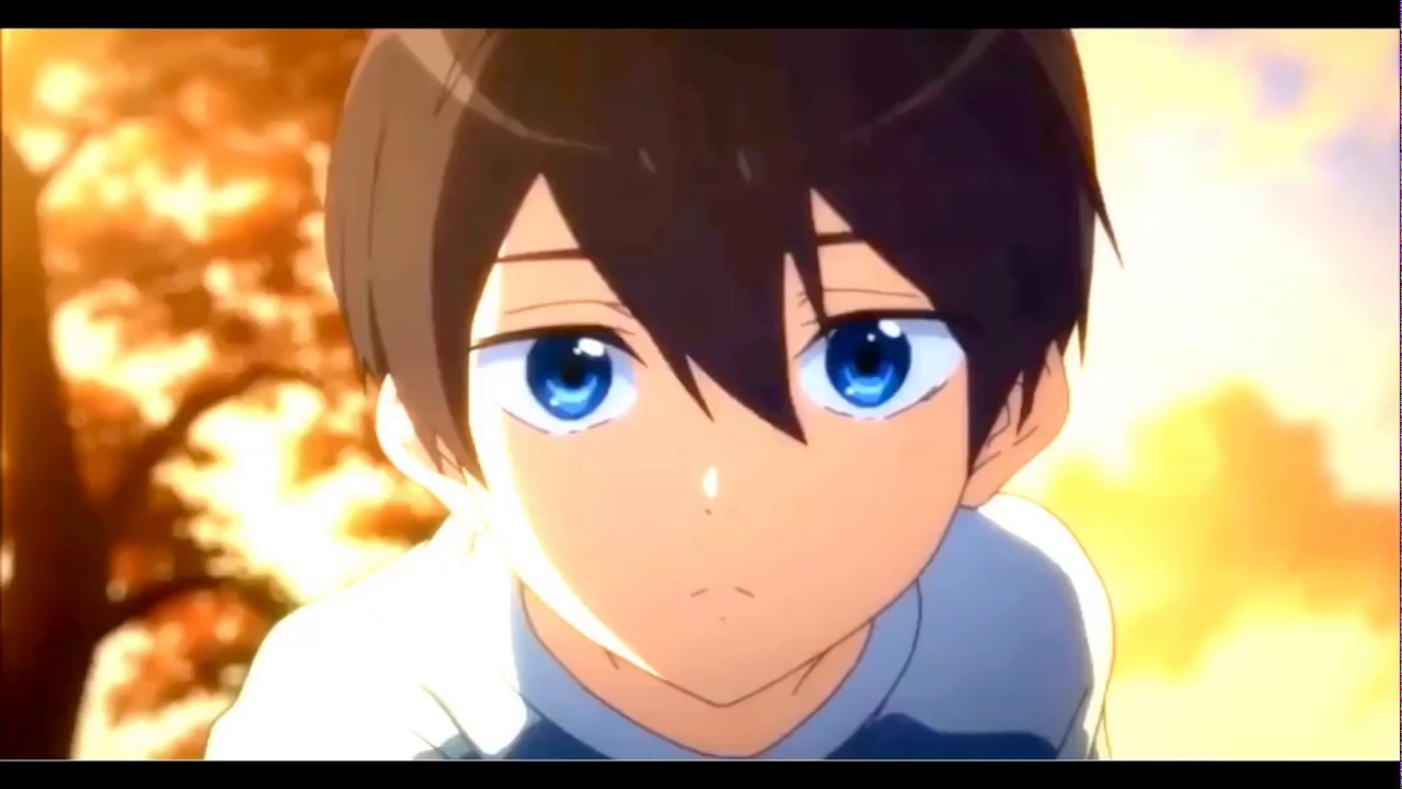 Makoharu | dusk till dawn | amv